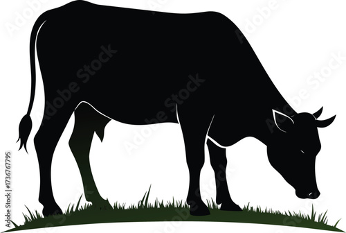 Black silhouette of a cow grazing on grass isolated on white background