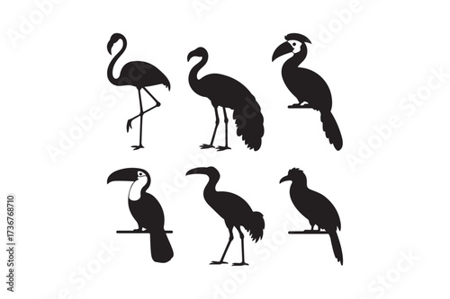 Silhouettes of six exotic birds in a collection