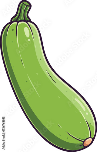 Green zucchini vegetable fresh organic healthy food garden harvest natural raw produce for cooking and nutrition vector illustration