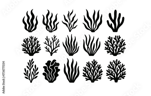 Stylized silhouette seaweed collection: ocean plants for modern design