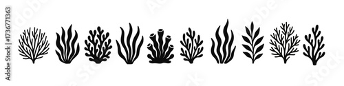 Collection of seaweed silhouettes for marine design projects