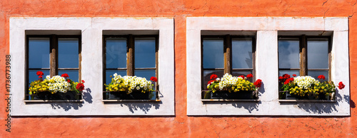 Blumenfenster