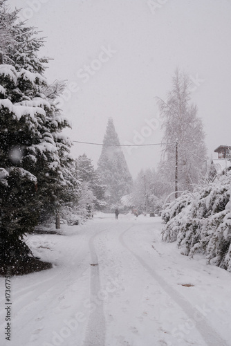 Tranquil Snowy Forest Road in Bariloche During Intense Winter Storm - Villa Catedral (Bariloche)