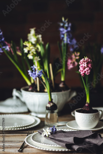 Floral cozy home decor for Easter holiday celebration. Fresh blooming spring hyacinth flowers. Beautiful house interior design, seasonal decoration