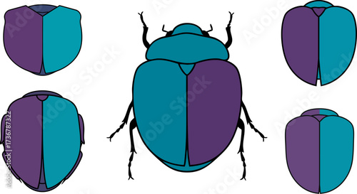 Stylized scarab beetles in shades of blue and purple against a black background