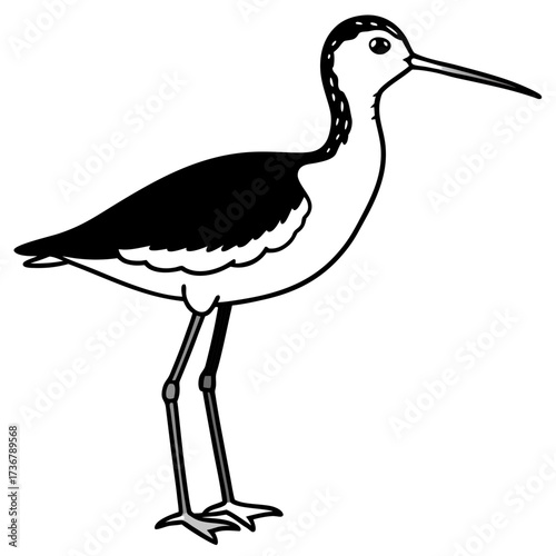  Sandpiper Outline Drawing Vector Design on Clean White Background