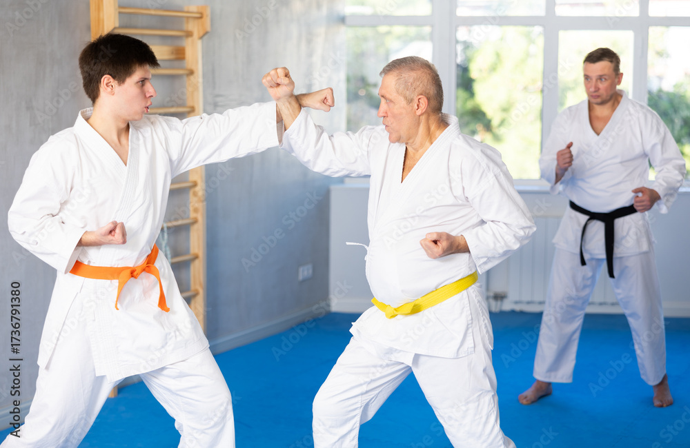 Fototapeta premium Elderly man and young guy karatekas train karate fight in studio