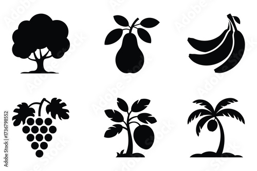 Collection of six distinct silhouette icons representing various fruits and trees for design