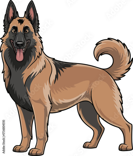 Cute cartoon a illustrator vector Belgian Shepherd