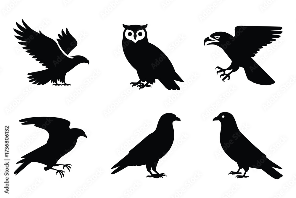 Obraz premium Collection of six bird silhouettes featuring eagles owls and crows in various poses