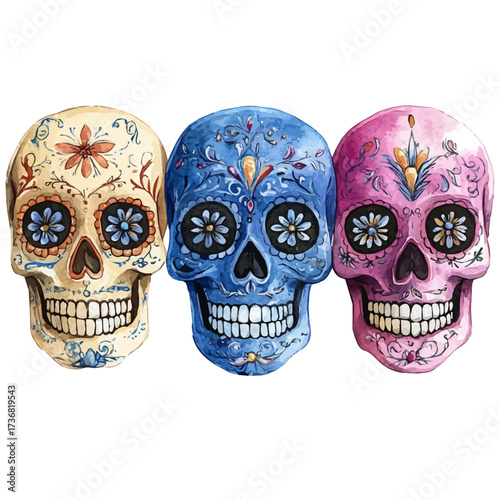 watercolor vector of Mexican Sugar Skulls, isolated on a white background.
