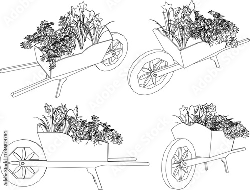 house plant design illustration vector sketch for home garden interior ornamental plants  