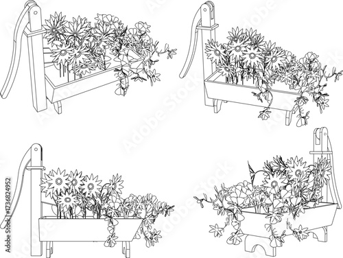 house plant design illustration vector sketch for home garden interior ornamental plants