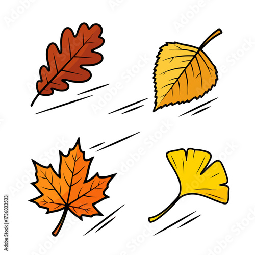Four distinct autumn leaves in various colors and shapes, including oak, birch, maple, and ginkgo, with motion lines