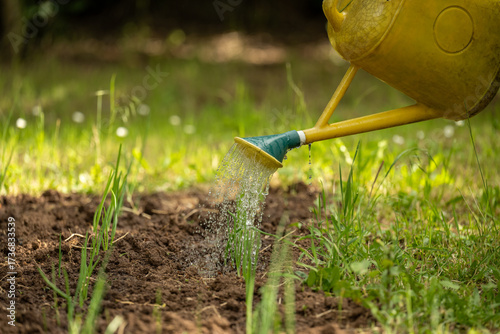 A gardener uses a yellow watering can to water small green plants growing in tilled soil outdoors. The background shows lush greenery and trees, indicating a peaceful, natural environment.