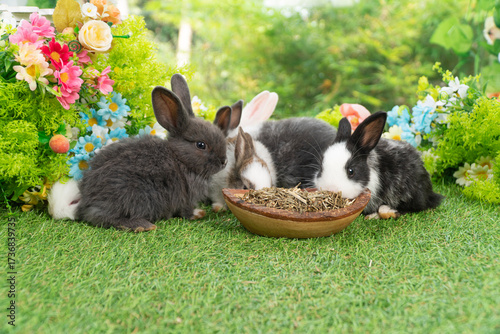 Group of cute baby rabbits eating food in a wooden bowl on green grass with colorful flowers in background. Adorable bunnies in spring garden, perfect for Easter, pets, and lifestyle concepts.