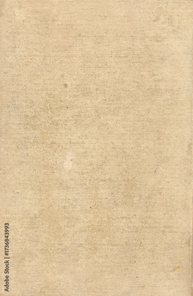 Fototapeta premium Old paper of cardboard texture. Rough faded surface. Blank retro page. Template for background and vintage style design.