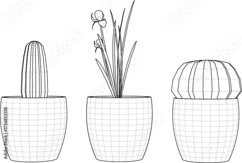 Vector sketch illustration of cactus flower plant decoration design for room decoration
