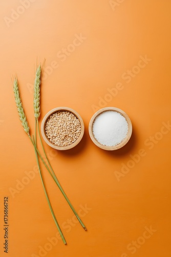 Healthy grain and dairy ingredient composition with wheat ear cereal and milk on warm background representing natural nutrition