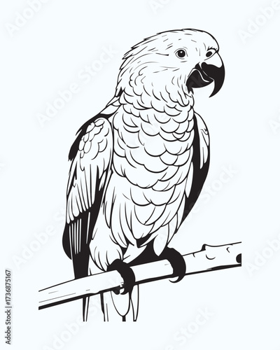 Another detailed black and white vector outline of a large parrot perched. The emphasis is on texture and line work, making it suitable for high-quality print design, logo creation