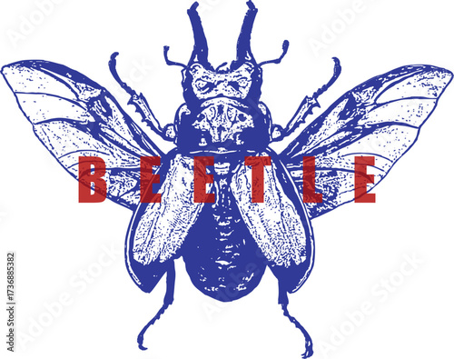 Flying Stag Beetle, Small Mandibles, Wings Open, Blue Engraving, Red Text, High Contrast Vintage T-Shirt Design, Insect, Lucanus, Isolated Background.