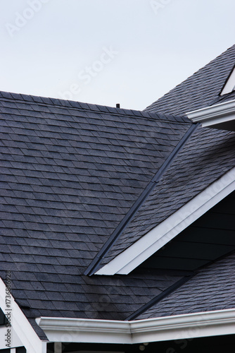 Dark asphalt roof shingles