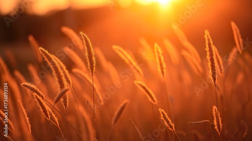 background featuring soft