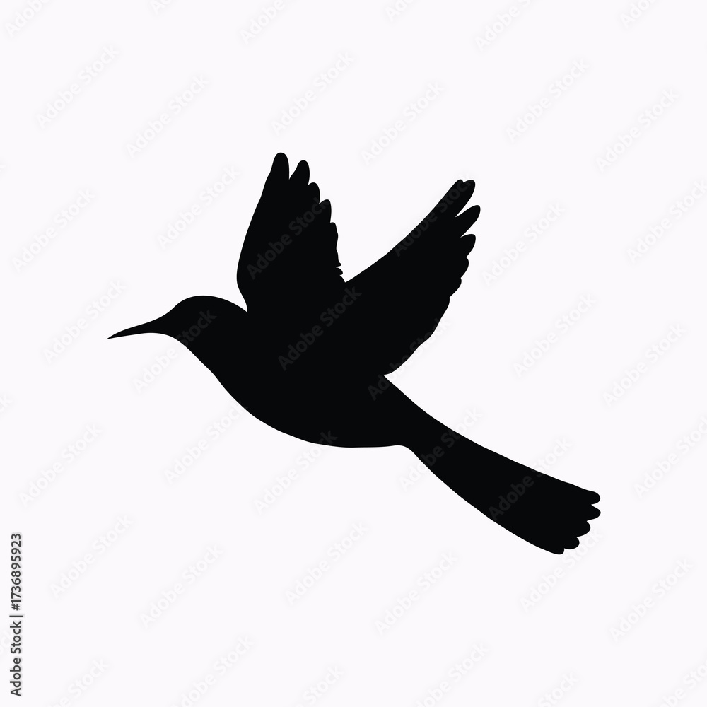 Obraz premium white vector bird art desigan black and white 9.eps