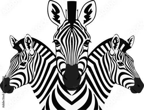 Three zebra heads symmetrically arranged against a stark black background design