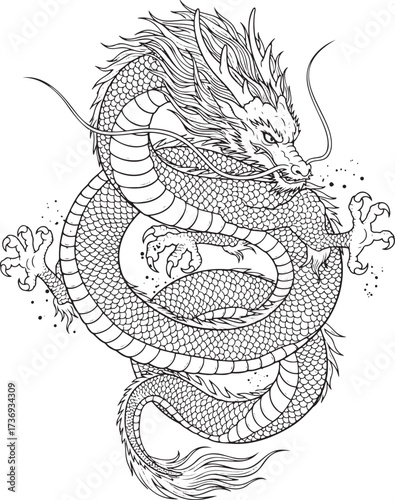 Chinese Dragon in Detailed Line Art