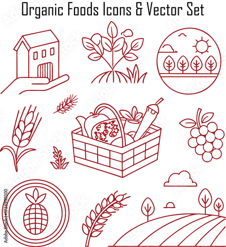 Icons & Illustrations & Vector Set