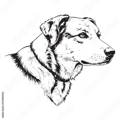 Black and White Sketch of a Dog's Head in Profile canine