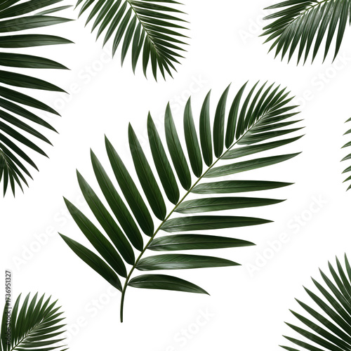 Lush palm leaves scattered on a black background, seamless pattern