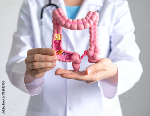A doctor holds an anatomical model of the human colon, representing digestive health, colon cancer awareness, and medical education.