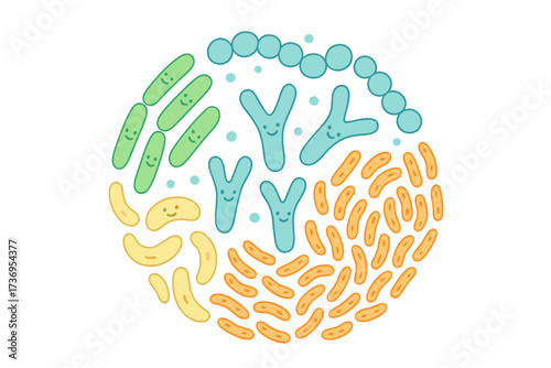 Probiotic bacteria gut flora set. Lactobacillus, bifidobacterium, streptococcus. Good microorganisms for health. Healthy prebiotic bacillus. Microbiome, microbiota concept vector.