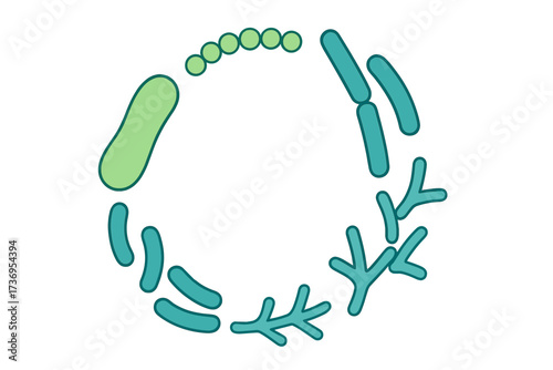 Probiotic bacteria types vector icon set. Good microbes for gut health and digestion. Lactobacillus, bifidobacteria, prebiotic bacillus, streptococcus microorganisms illustration.