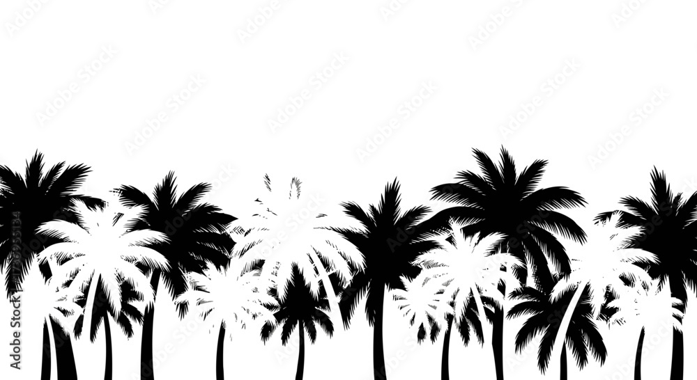 Obraz premium Black and white palm trees silhouette landscape for tropical background