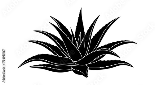 Bold botanical silhouette of aloe vera plant against clean backdrop