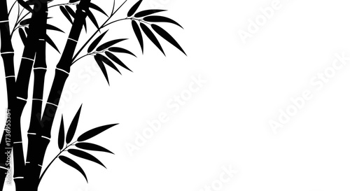 Elegant black bamboo illustration with negative space for text overlay
