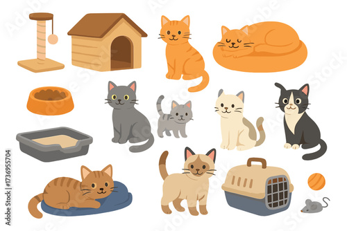 Set of cat accessories and pet care items including scratching post, house, bed, food bowl, litter box, slipper, carrier, toys with 8 adorable cats, pet shop essentials, cat care collection