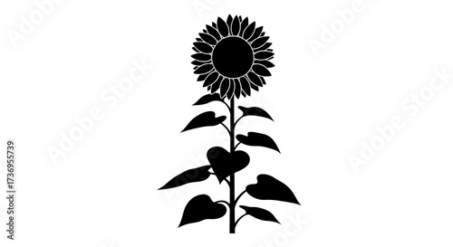 Elegant sunflower silhouette with heart-shaped leaves symbolizing love