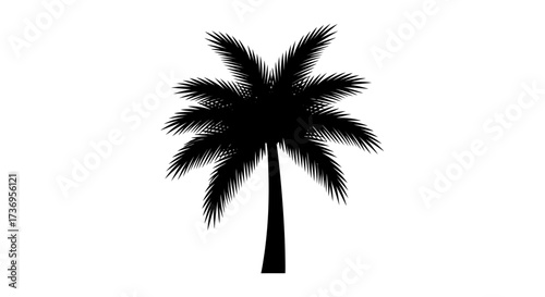 Monochrome silhouette of a majestic palm tree against a white backdrop