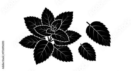 Silhouetted mint leaves, elegant herbal design, minimalistic style