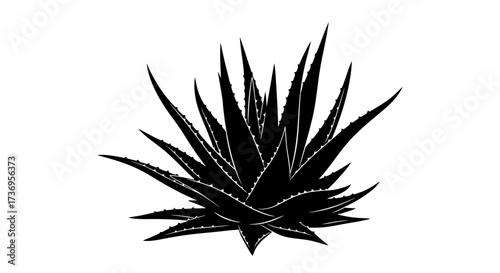Striking Black Silhouette of an Aloe Vera Plant on White Background