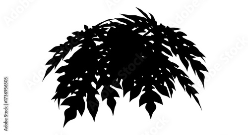 Unique Black Silhouette Image of Exuberant Tropical Leaves and Foliage