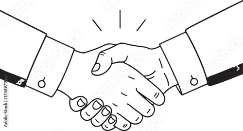 Two Hands Shaking in Agreement on White Background Keywords: handshake, business, agreement
