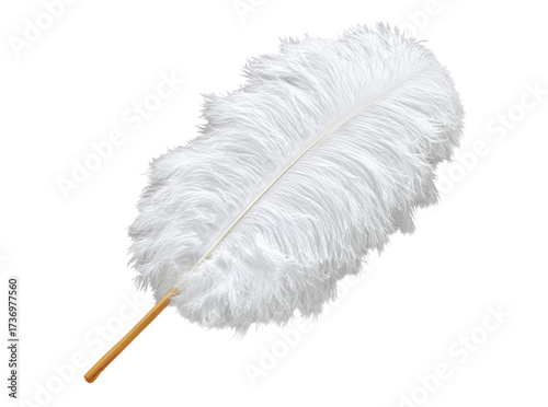 Elegant white ostrich feather on black background, Isolated On Transparent Background, Png