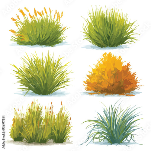 Detailed illustration of bermudagrass blades and roots presented as a silhouette isolated on white background