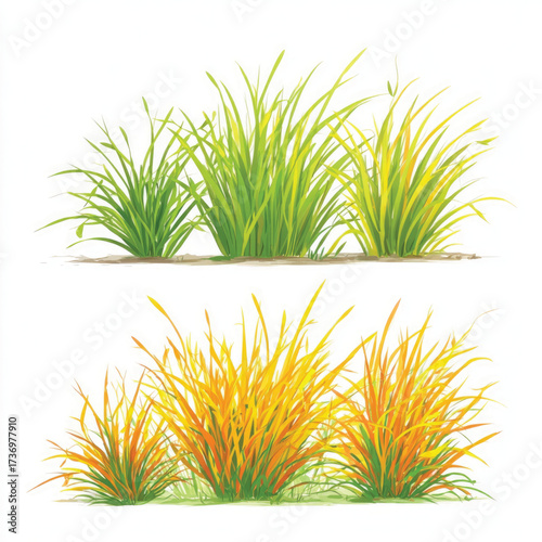 Detailed illustration of bermudagrass blades and roots presented as a silhouette isolated on white background