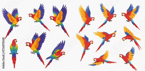 A collection of vibrant cartoon macaws in different flying and perching positions, showcasing their colorful plumage against a transparent background.